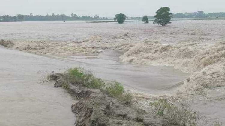 Five rivers swelling above danger level: FFWC