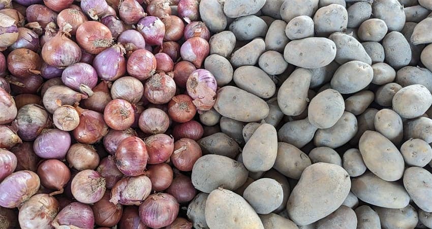 Import duty on onion, potato reduced