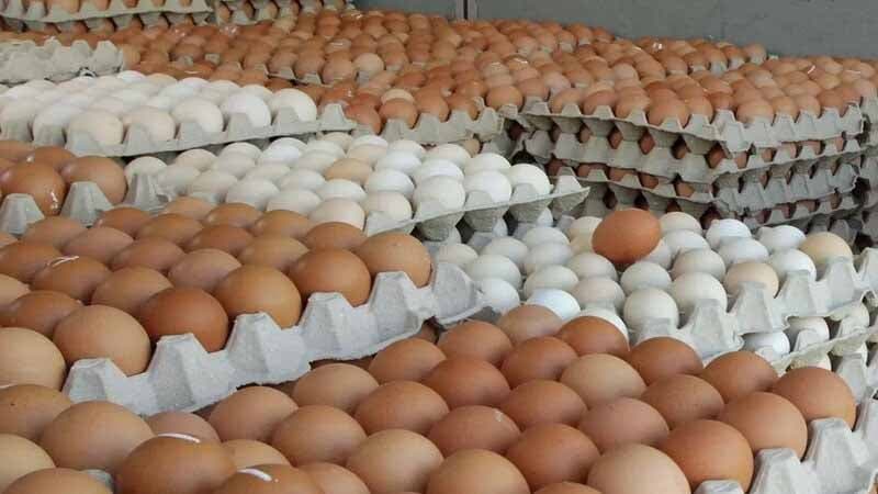 Indian eggs arrive, market price Tk12 per piece