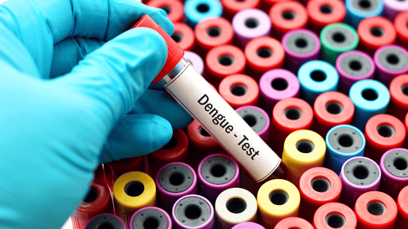 Dengue claims 6 more lives, 1,561 hospitalised in 24 hours
