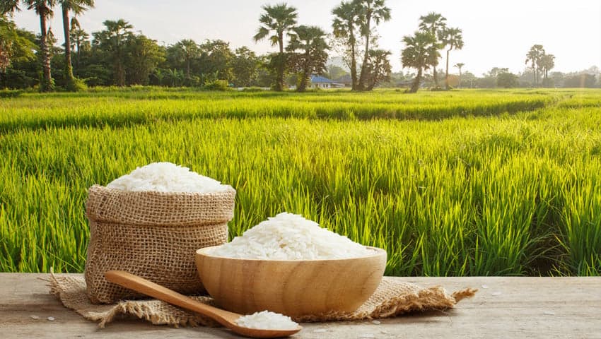 Even if rice production increases, why wouldn't the price decrease