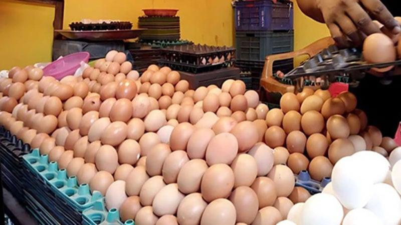 Egg prices go up again