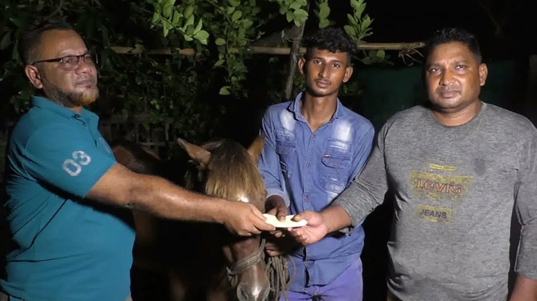 PM gifts student for tenderly caring for blind horse