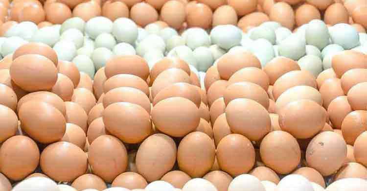 4 crore eggs imported to regulate prices