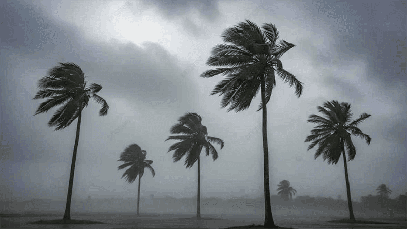 80kph nor’westers likely to hit 5 regions today