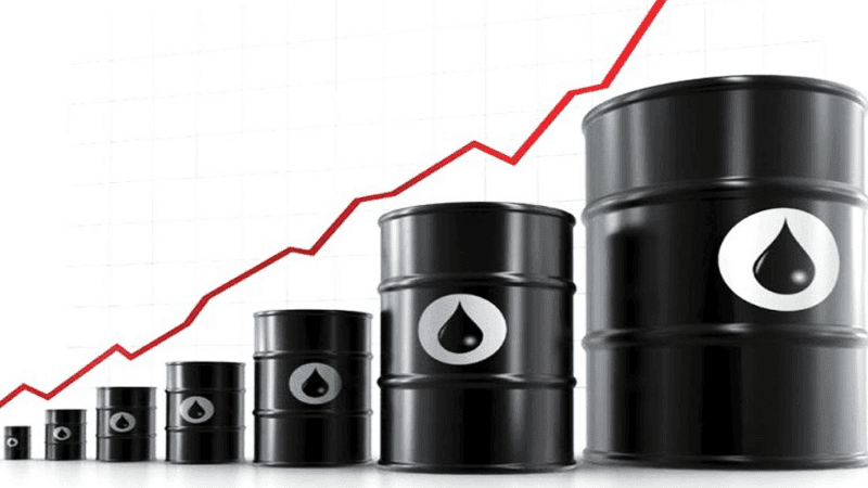 BERC raises furnace oil price
