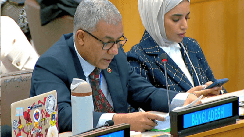 UNGA adopts resolution seeking return of Rohingyas to Myanmar