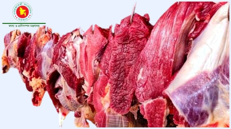  Livestock ministry starts selling beef at Tk600 per kg