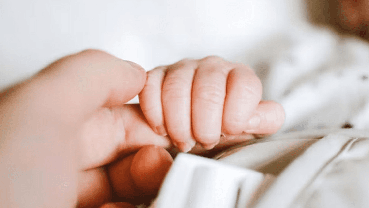France introduces paid family leave system to boost birth rate