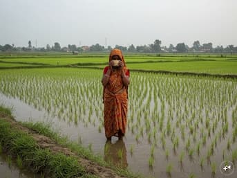 2 women from Assam pushed into no-man’s land at Bangladesh border return home