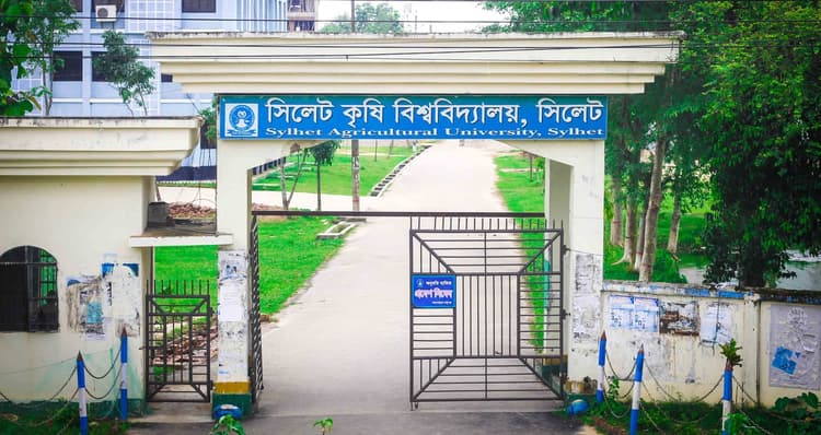 Nine teachers-officials resign from administrative posts in protest against VC’s corruption at SAU