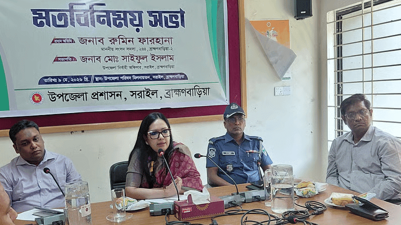 Sarail and Ashuganj to be upgraded to municipalities: Rumeen Farhana