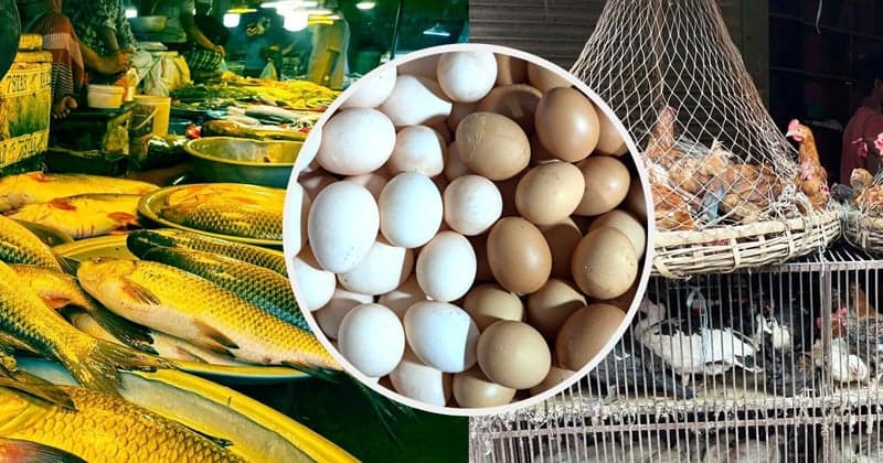 Egg, fish and chicken prices rise in Dhaka markets