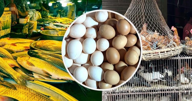 Egg, fish and chicken prices rise in Dhaka markets