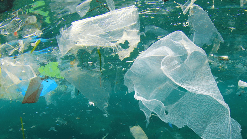 Plastic pollution reaches 2 km deep in the Bay of Bengal