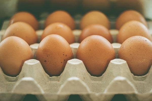 Grassroots farmers begin egg sale at Tk12