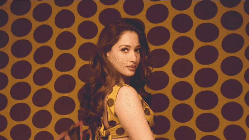South Indian industry is somewhat patriarchal: Tamanna