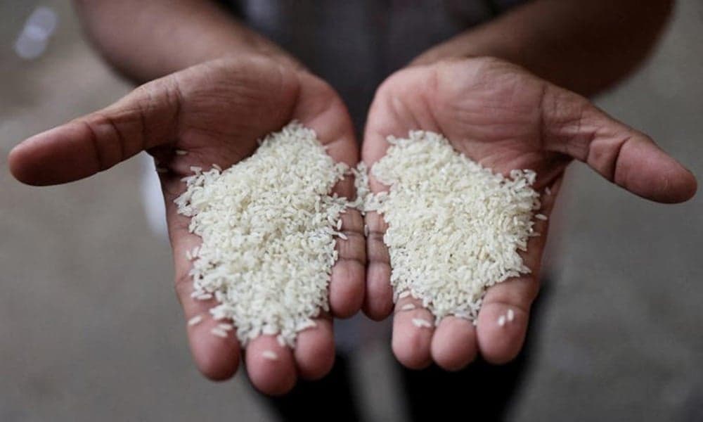 India exempts non-basmati white rice from export duty