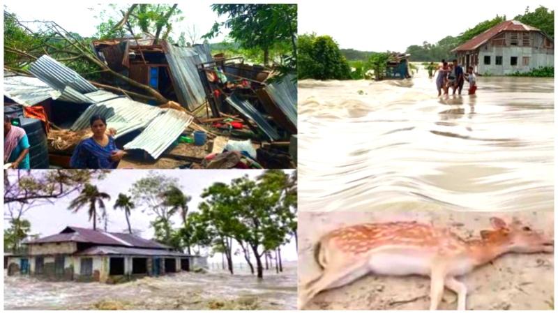 Damage in Cyclone Remal estimated at Tk7000 cr