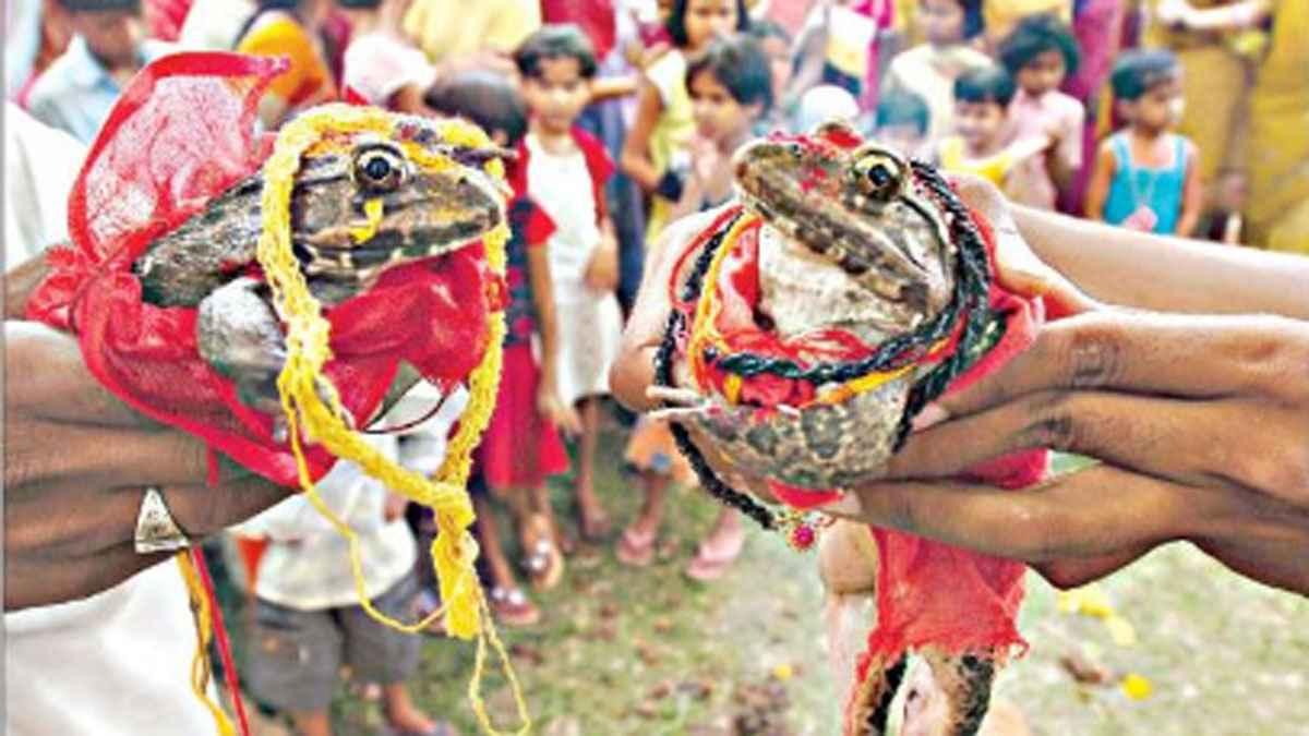 Anticipation of rain: From frog marriages to cloud seeding