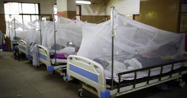 8 more dengue deaths in 24 hrs, record 1,733 hospitalised