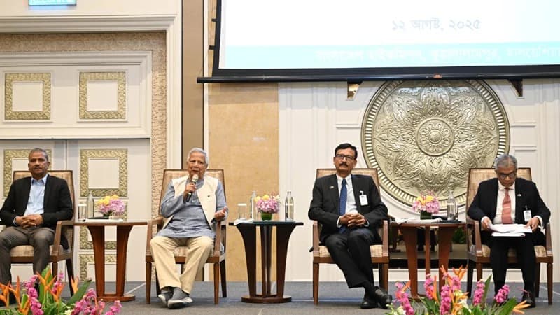 Govt working to ensure voting rights for expatriates in next election: Yunus