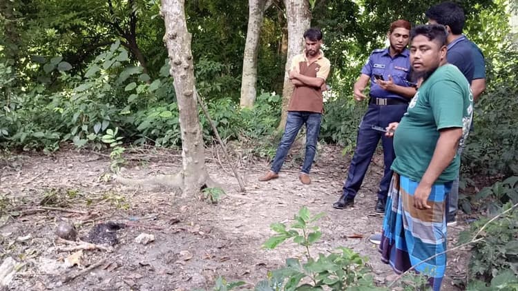 Woman's skeletal remains found in septic tank in Faridpur