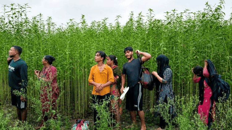 BGB foils push-in attempt of eight people along Kushtia border