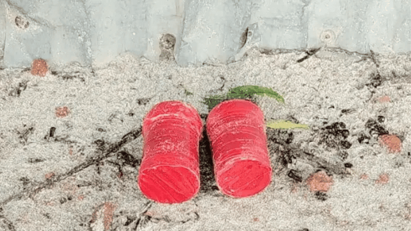 Explosive-like objects recovered near BNP leader's house in Meherpur