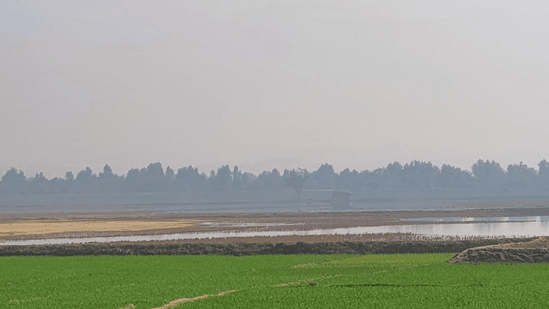 Myanmar airstrikes near Teknaf border