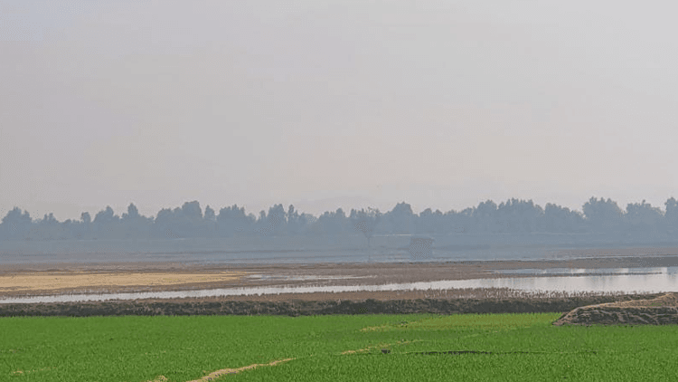 Myanmar airstrikes near Teknaf border