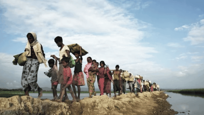 Rohingya refugees reaffirm desire to return home
