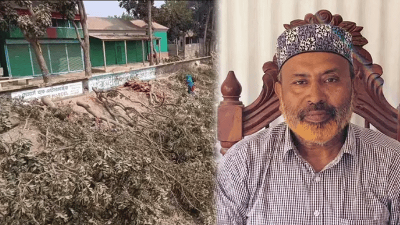 Expelled BNP leader arrested in embankment tree-cutting case