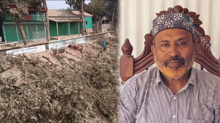 Expelled BNP leader arrested in embankment tree-cutting case