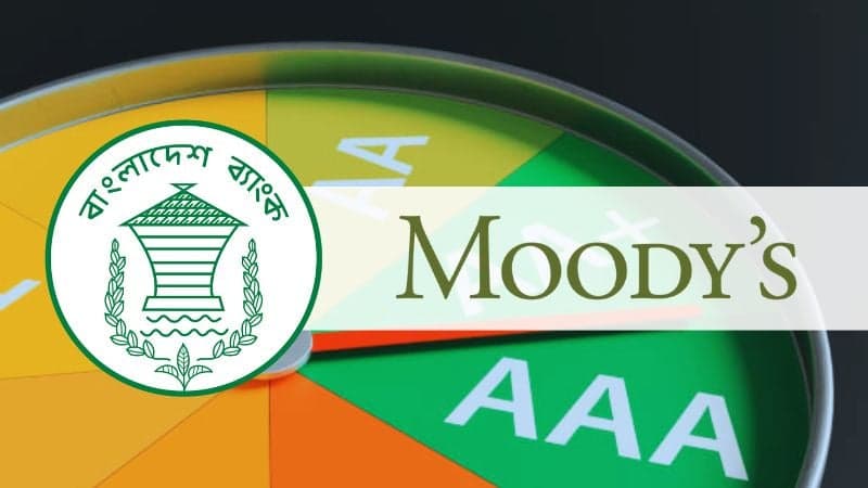 Moody's downgrade doesn't reflect economic progress: BB