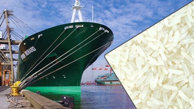 Govt to import rice from Vietnam, fertilizer from Morocco