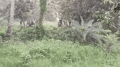 BSF removes 28 people gathered for push-in at Chapainawabganj border