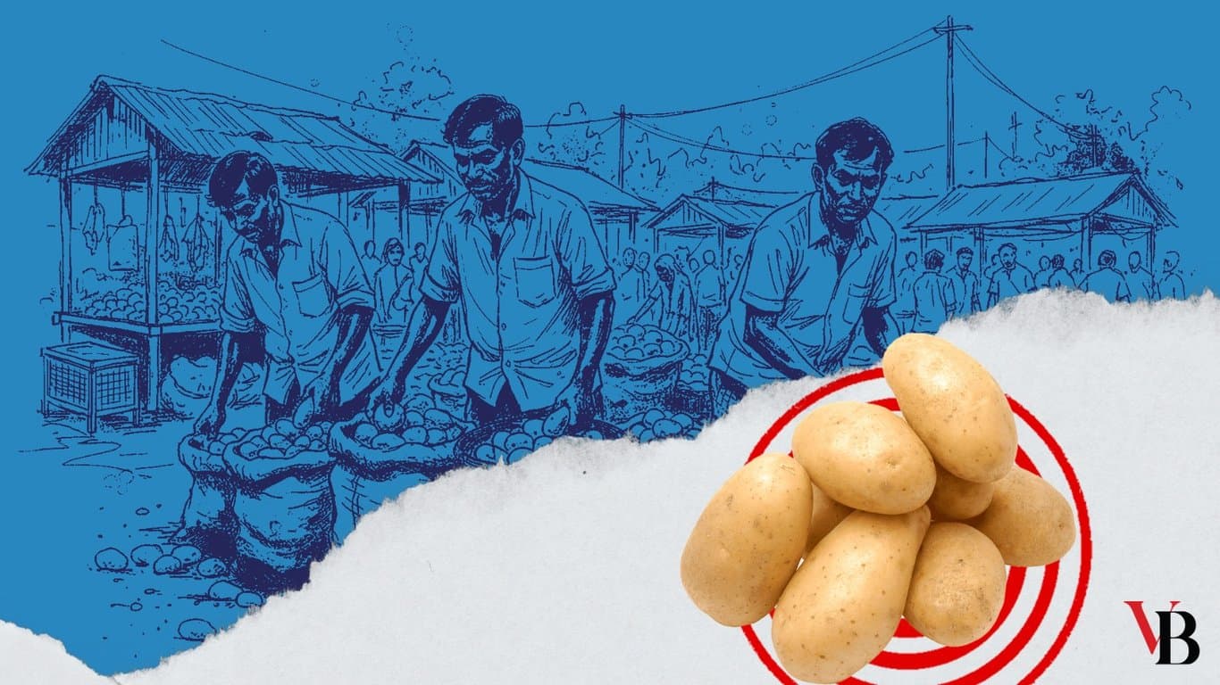 potato traders