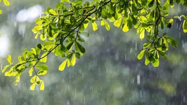 Rain likely in Sylhet-Chattogram