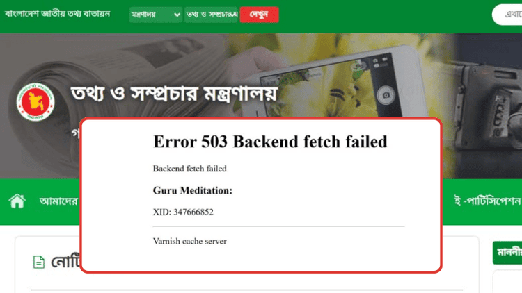 Govt websites back online after nearly 90-minute outage