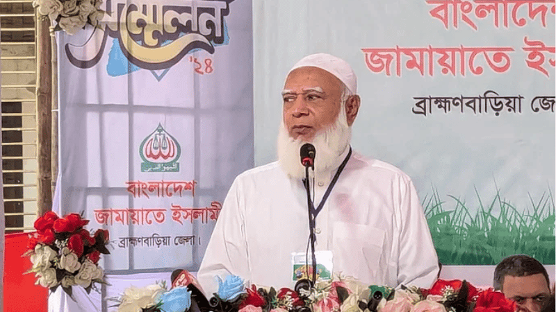 Jamaat suffered the most: Amir Shafiqur Rahman