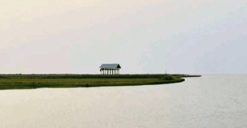 Over 149 tourists stranded on Meghna River Island in Lakshmipur