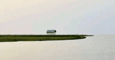 Over 149 tourists stranded on Meghna River Island in Lakshmipur