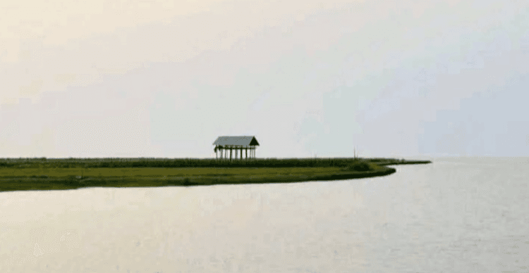 Over 149 tourists stranded on Meghna River Island in Lakshmipur