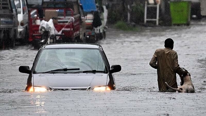 Heavy rains kill 71 in two days in Punjab; more flooding looms