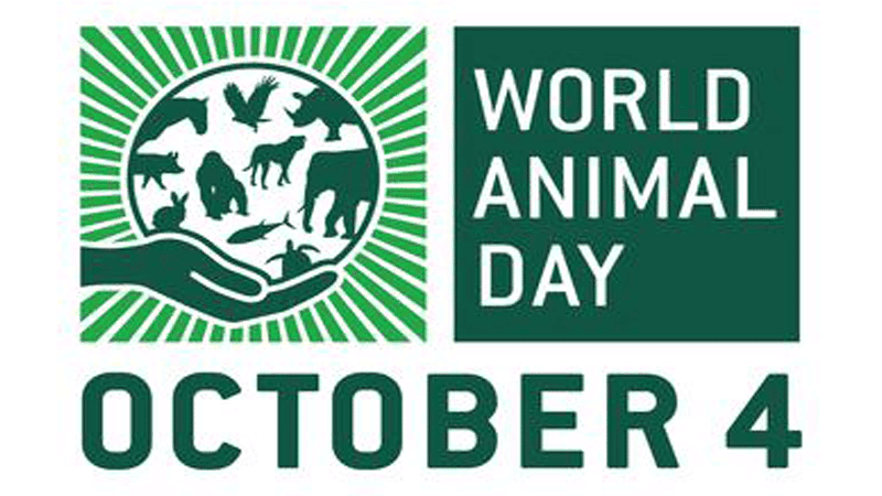 World Animal Day today
