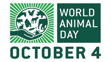 World Animal Day today