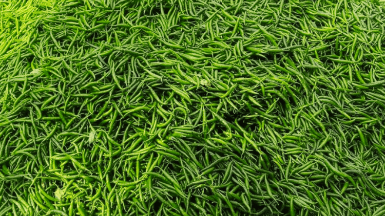 52 tonnes of Indian green chilies imported in two days