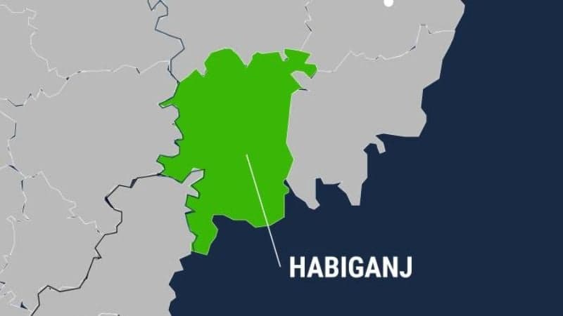 Seven idols vandalised at Habiganj temple