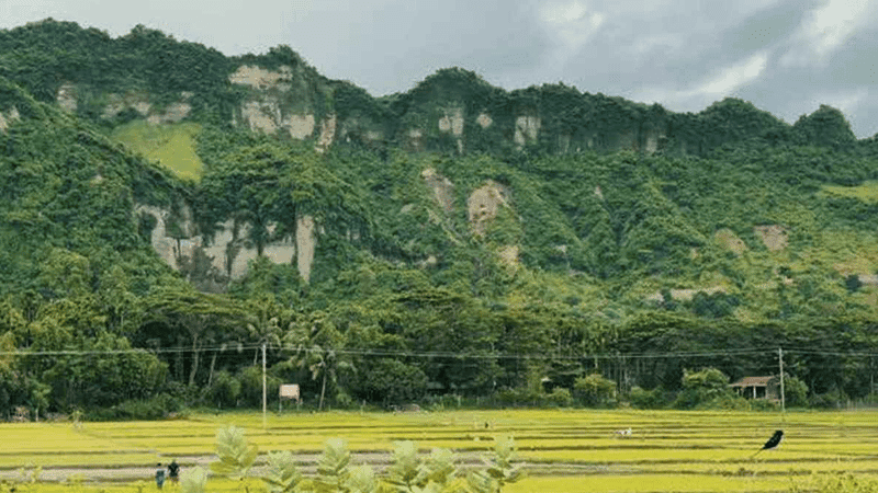 Six farmers abducted while working in hills in Teknaf